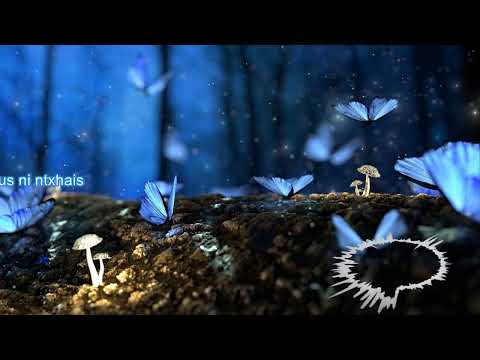 Ib neej niam-(KARAOKE)-POV THOJ