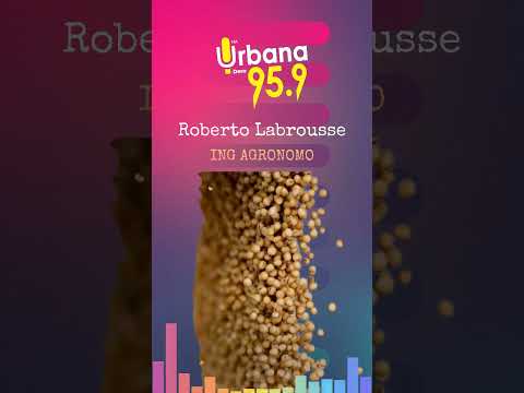 #urbanadero #daireaux #noticias #entrevista #campo
