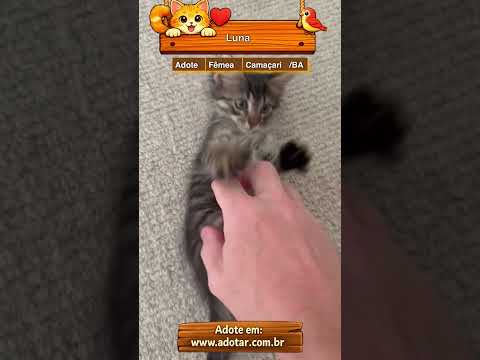 Vídeo de Luna