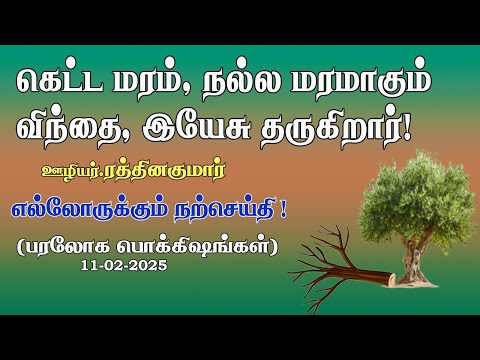 Bad tree becomes Good? Possible with Jesus!