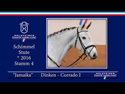 Holsteiner Frühjahrsauktion 2020 - Nr. 116 Jamaika v. Dinken - Corrado I