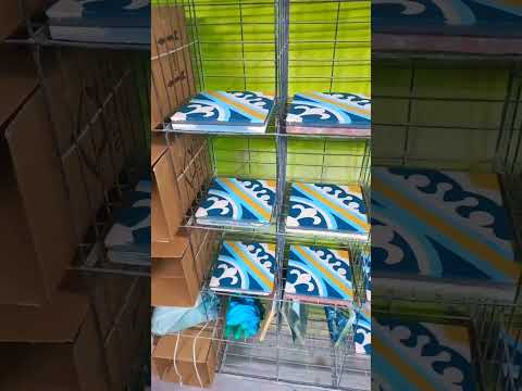 https://youtube.com/shorts/9ZoNMapeyoU?si=ZdihI1Uf_GTPjlkd