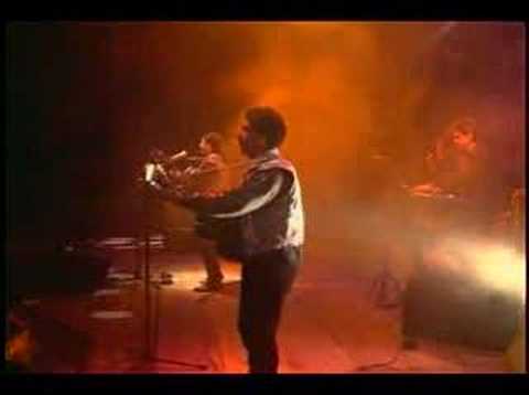 Un Pasajero en el Camino