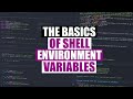 How To Use Shell Environment Variables