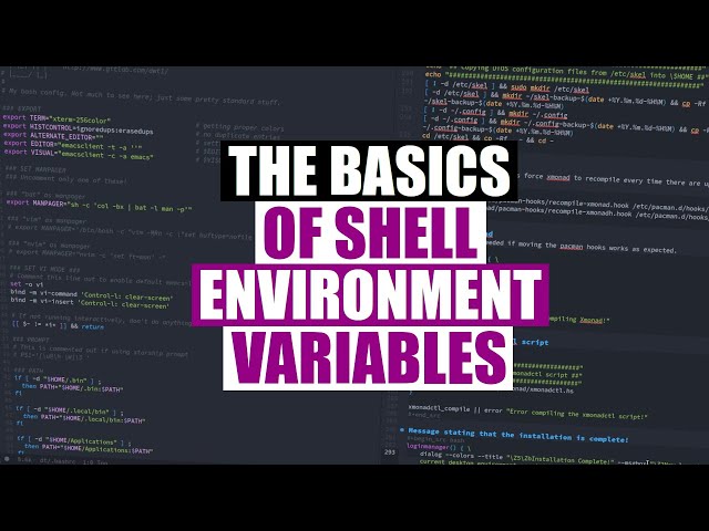 How To Use Shell Environment Variables