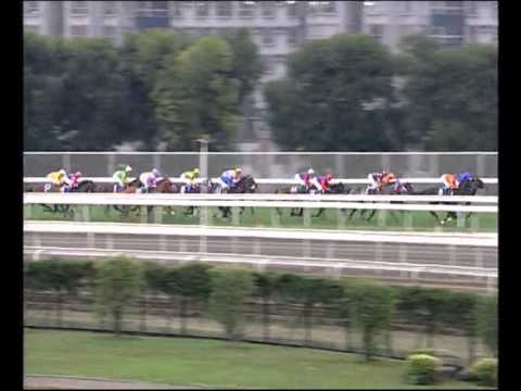 2001 Hong Kong Vase - Stay Gold