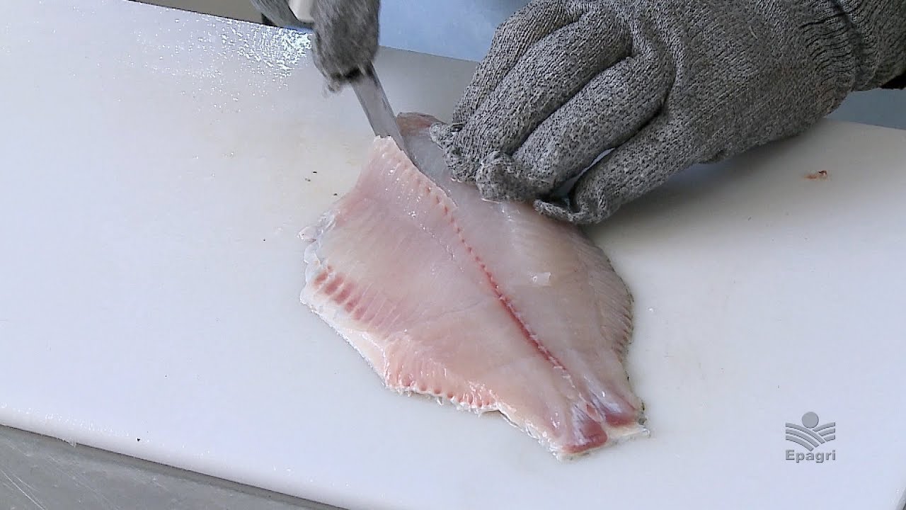 Filetagem de tilápia