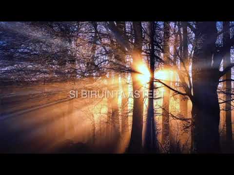 NUMELE TĂU E MINUNAT - REBECA ILEA AVRAM