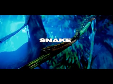 Beats By Mills Presents: Tor-C & Jeremiah Bonez - Snake (Official Music Video)