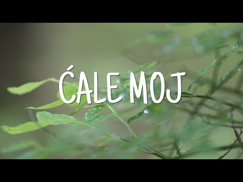 Vice Vukov - Pismo ćali (Official lyric video)