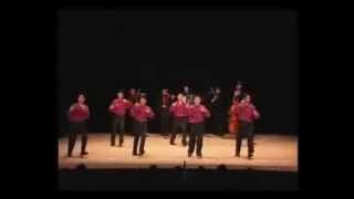 A VOIR ! DANSE TZIGANE DE ROUMANIE ULTRA-RAPIDE