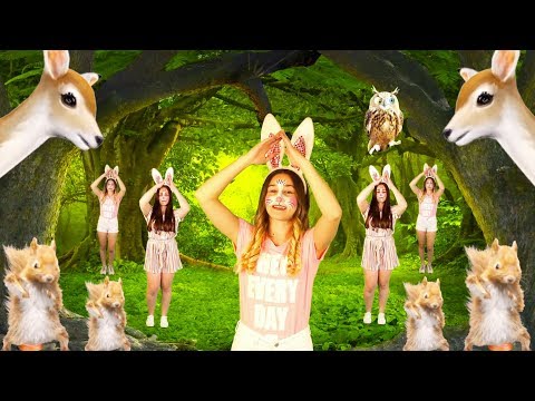 Youtube Video 9Zr6jJHExj8