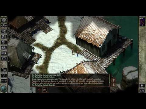 Solo HoF Insane Dragon Disciple Semi blind - Icewind Dale EE - part  2
