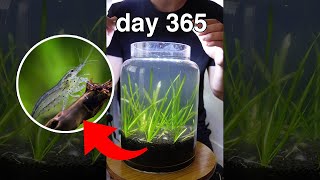 what if we put grass and dirt in a jar for a year?