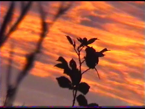 [free] fats'e x midwest emo type beat "as you do" (prod. cobalt)