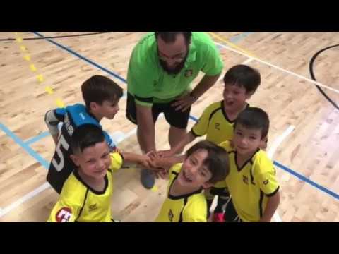 ACADEMY F6 2018 2019