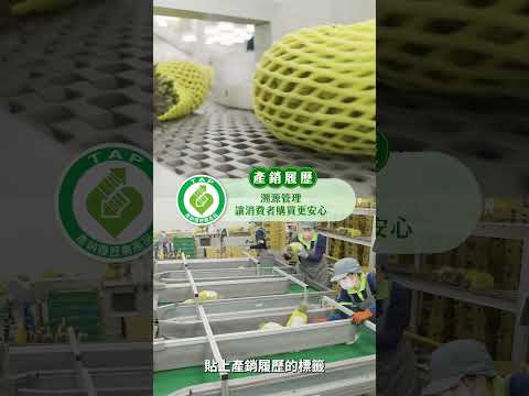 好運旺旺來3個訣竅?選到好鳳梨