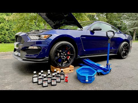 Shelby GT350R Final Oil Change | What Car Should Replace it?