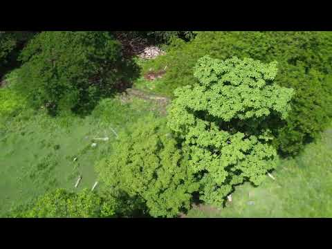 #44 VENTA FINCA, LAJAS, ABANGARES - ¢150.000.000 - 20ha