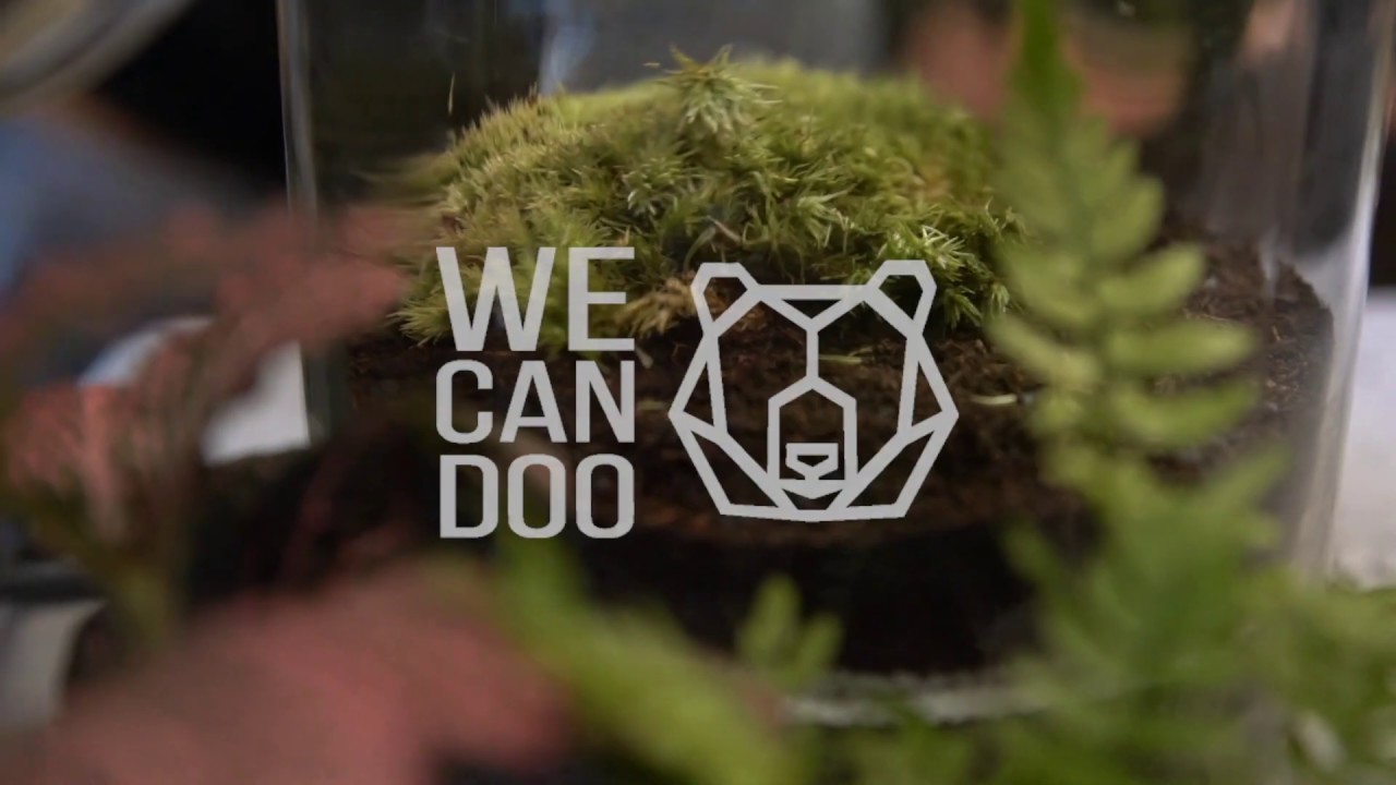 Créez votre kokedama avec David - Vidéo