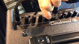 Video thumbnail for Tanglewood T6 and Homesick Mac by Tanglewood Guitars