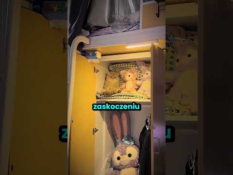 Oszukali system z kotkiem!