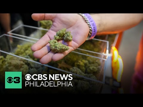 Doctors recommend medical marijuana use as more patients seek safer alternative to opioids