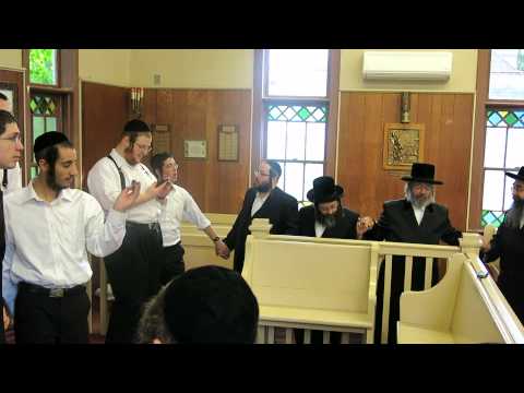 radashitz yeshiva makes a visit to the niklesburg rebbe