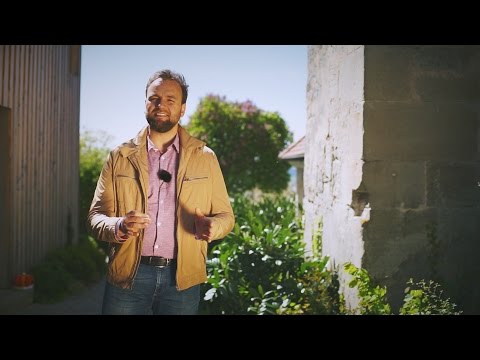 Warum sich Ehrlichkeit lohnt - 3min Andacht