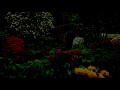 Your Heart Today Instrumental