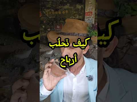 نائف الوافي