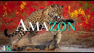 Download lagu The 15 Most Dangerous Creatures of The Amazon | Silent Killers of The Jungle | 4K Documentary mp3 Download lagu The 15 Most Dangerous Creatures of The Amazon | Silent Killers of The Jungle | 4K Documentary mp3