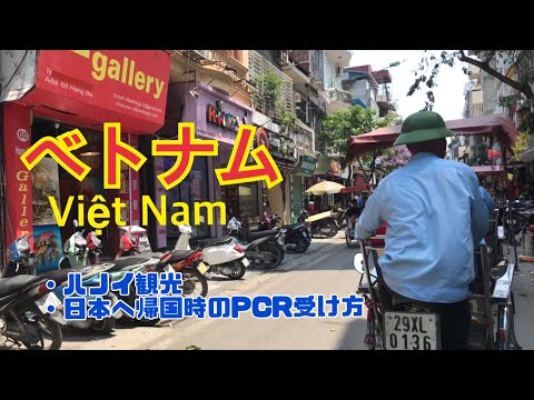 [Turismo no Vietnã] ~ 🇻🇳Vietnã🇻🇳 ~ Fiz uma viagem ao exterior pela primeira vez em 3 anos. Também lhe diremos como fazer um teste PCR ao retornar ao Japão!
