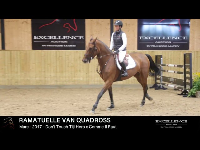 RAMATUELLE VAN QUADROSS - Model & dressage