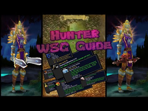 Classic WoW - WSG Guide - Hunter Basics
