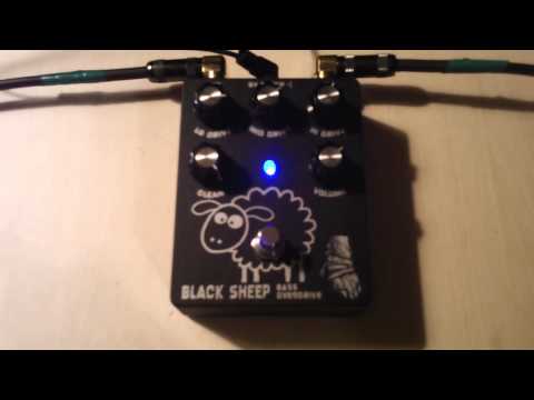 Wounded Paw Black Sheep Bass Overdrive Demo Pt. 1
