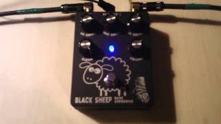 Wounded Paw Black Sheep Bass Overdrive Demo Pt. 1
