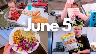 JUNE 5 VLOG | huge costco haul, trader joe's snacks and dinner that's fast and delicious!
