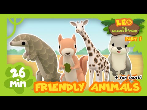 Witness21 Editor  2021 08 05