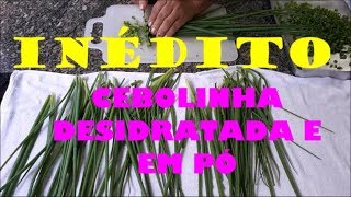 EXCLUSIVE!!! HOW TO DEHYDRATE CHIVES.