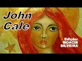 HALLELUJAH (letra e vídeo) com JOHN CALE, vídeo ...