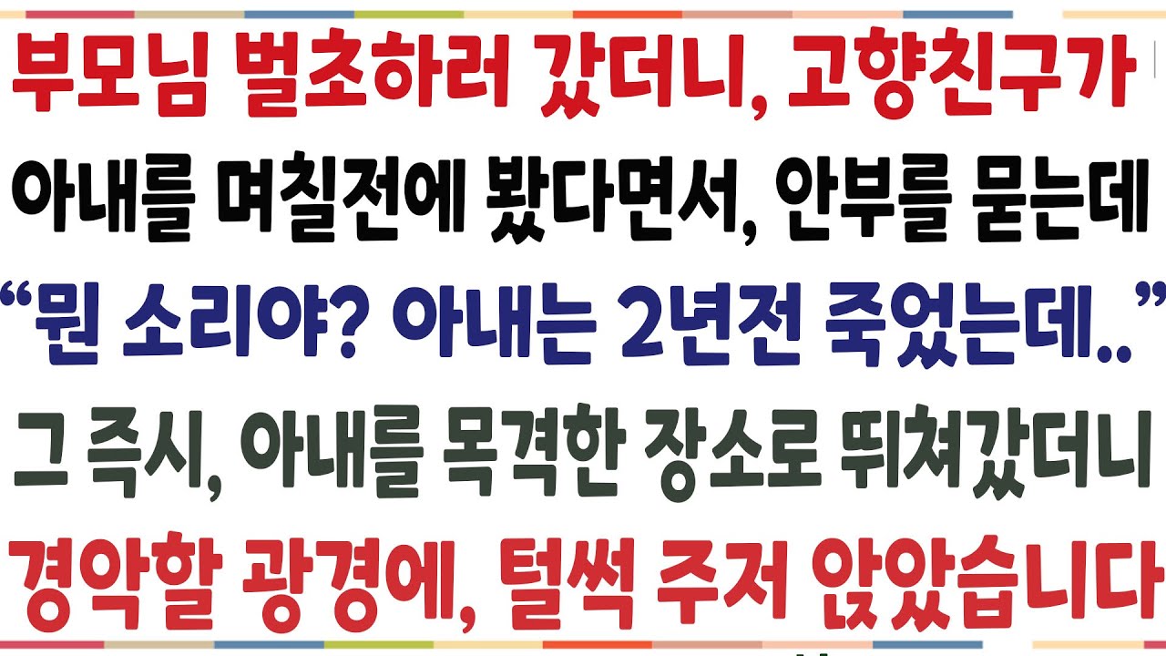 (반전신청사연)부모님 벌초하러 갔더니, 어디에서 아내를 목격했다고 하는데 "무슨소리야?" 그 장소로 즉시 찾아갔더니 그 모습을 보고 주저앉았습니다[신청사연][사이다썰][사연라디오]