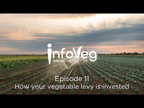 InfoVeg TV Episode 11 | How your vegetable levy is invested