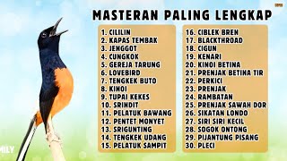 Download lagu 🔴 MASTERAN MURAI BATU FULL MATERI FULL ISIAN PALING LENGKAP || 767 mp3 Download lagu 🔴 MASTERAN MURAI BATU FULL MATERI FULL ISIAN PALING LENGKAP || 767 mp3