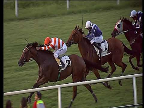 Galoppo 21/08/2019 - 4ª corsa