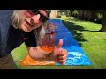 JOYIN 22.5ft Water Slides Lawn Summer Slip Toy with Build-in Sprinkler Backyard Outdoor Fun for Kids