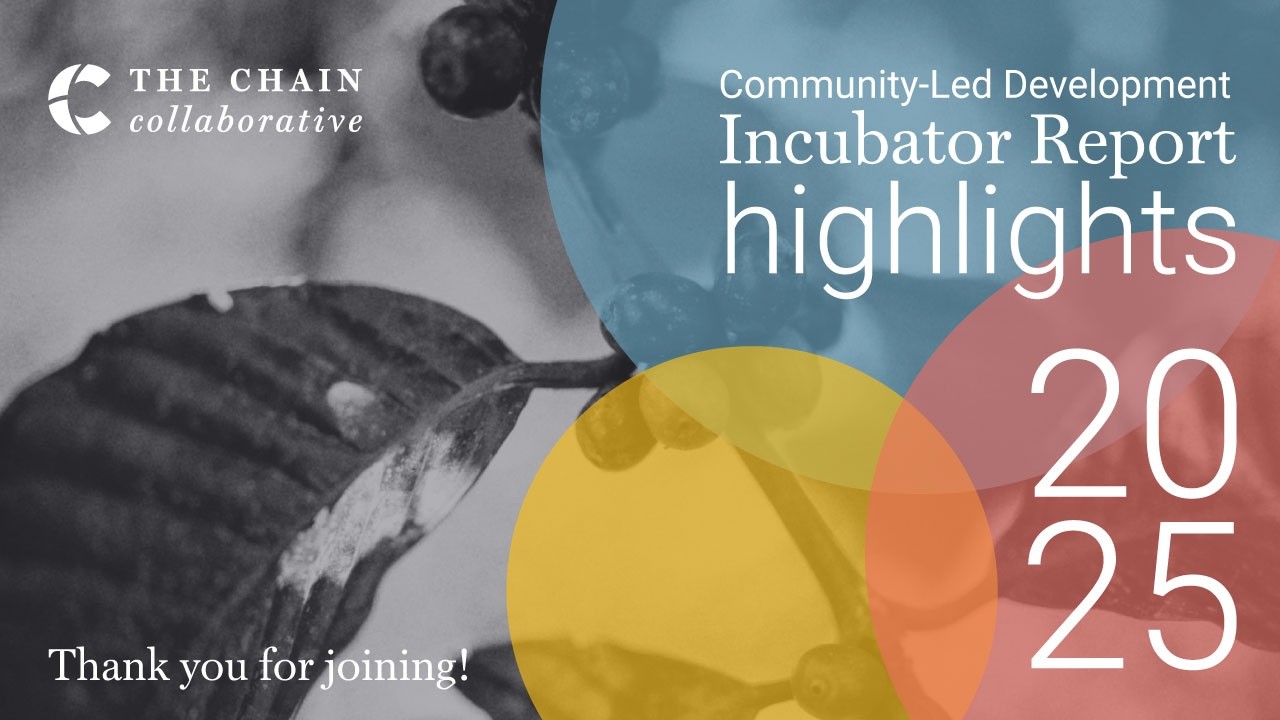 2025 CLD Incubator Highlights