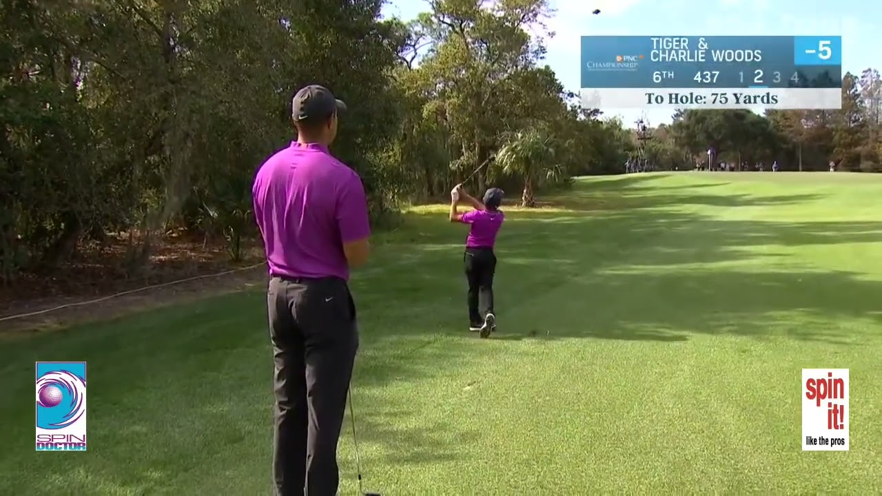 Great Golf Wedge Shots of Fowler, Woods, Scott & Rose - SDG Series