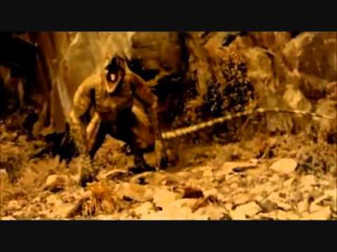 Primeval Pictures: Tree Creeper