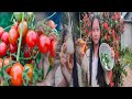 Arve kethe 😱 han chori ( kichen garden 🏡) ||  YouTube| vlog | traditional curry|